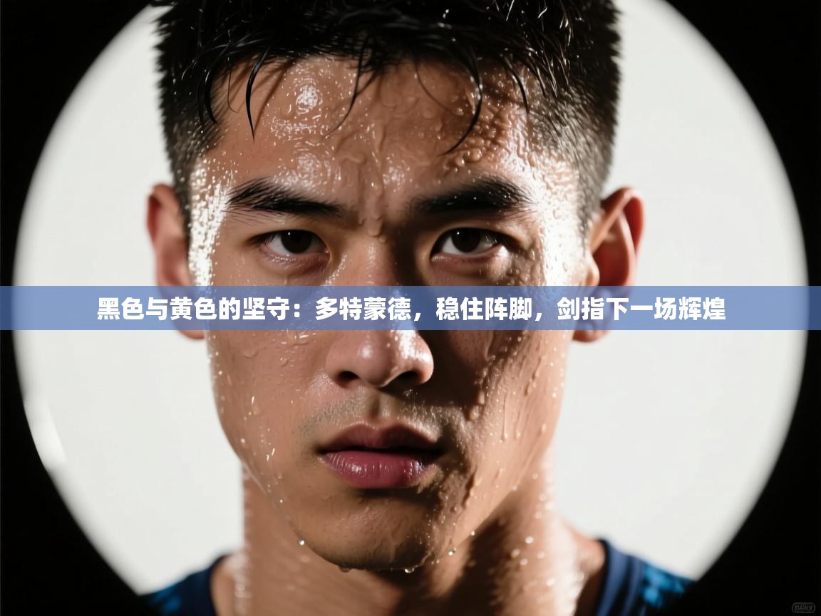 黑色与黄色的坚守：多特蒙德，稳住阵脚，剑指下一场辉煌  第2张