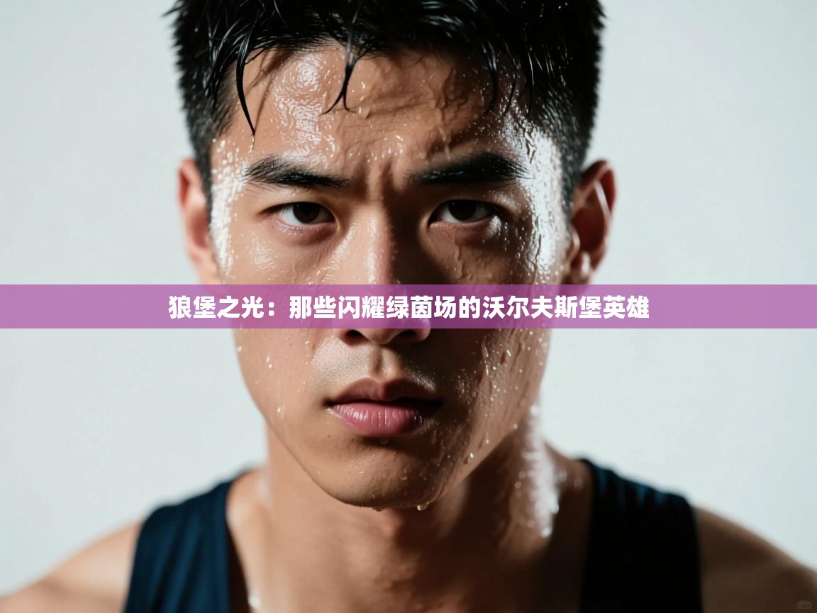 狼堡之光：那些闪耀绿茵场的沃尔夫斯堡英雄  第2张